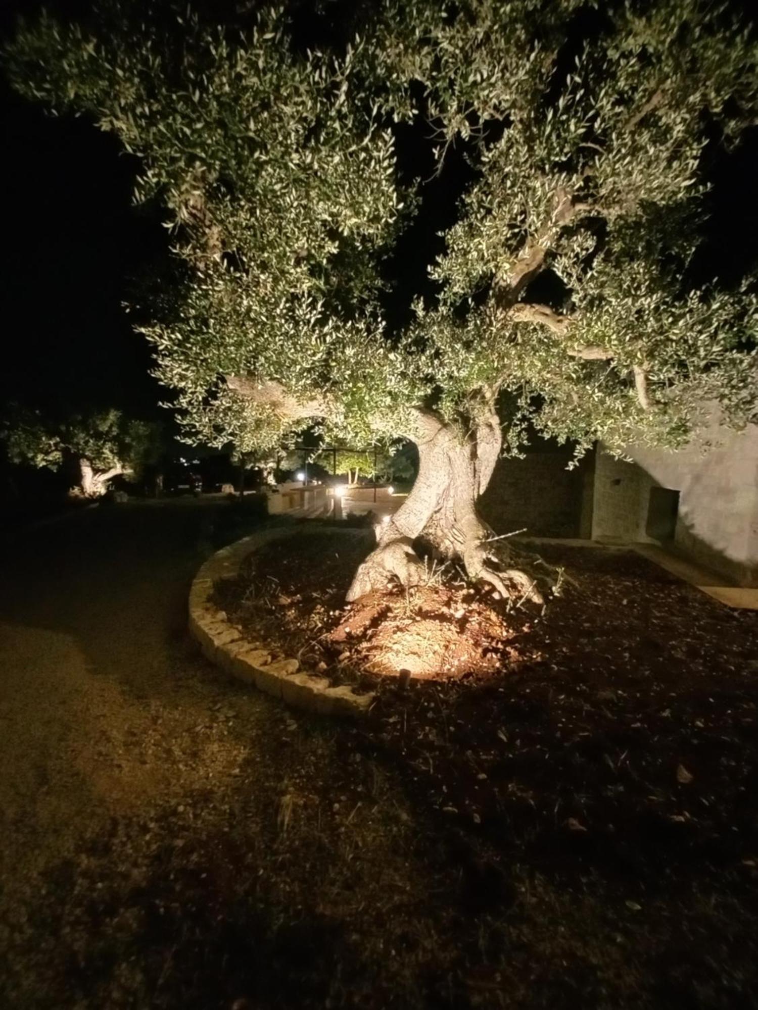 Il Nido Delle Rondini Villa Cisternino Bagian luar foto